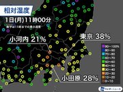 関東は空気乾燥し東京の湿度は30%台　風も強く火の元に注意