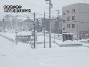 北日本で局地的に積雪急増　小樽市は6時間に20cmの新たな雪
