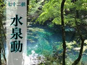 七十二候「水泉動」　暖かくなったら訪れたい美しい泉