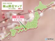 奈良でウメ開花　きょう12日は各地で春の陽気に