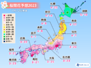 桜開花予想2023　全国トップは東京で3月20日　各地とも平年並みか早い予想
