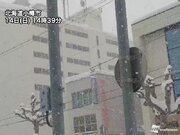 低気圧接近で北日本は雪や雨　強まりや雷、突風などに要注意
