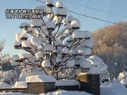 北日本は雪の降りやすい天気　積雪増加の札幌市などは落雪注意