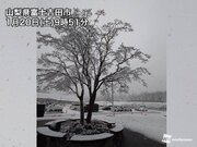 西日本や東日本は広く雨に　甲信など東日本内陸部は積雪急増に警戒