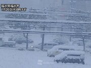 北陸や北日本で強い雪が続く　今夜にかけても積雪急増や吹雪に注意