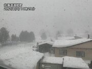 北海道は一部で吹雪に　東北や北陸も夕方にかけて雨が雪に変わる