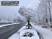 関東甲信の山沿いは雪化粧　平野部は冷たい雨に