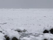 オホーツク海に冬の風物詩、北海道・紋別で「流氷初日」        
