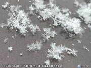 「立春」の札幌　雪の結晶をパシャリ　雪の結晶は天から送られた手紙