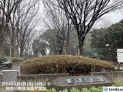 関東平野部などすでに積雪　東京都心の気温は1台まで低下　長野県には大雪警報も