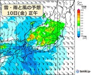 あす10日　都市部で雪の降り方は?　東京都心・横浜でも積雪に　交通への影響に警戒