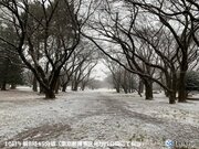 東京都心　午前10時の気温0台　予想より気温低下　歩道に積雪の恐れ　転倒注意