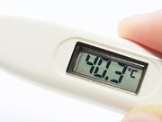 なぜ、インフルエンザで高熱が出るの？        