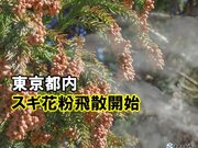 東京都内でスギ花粉が飛散開始　昨年より1日早く　過去10年平均より6日早い