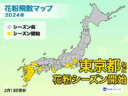 東京でスギ花粉飛散シーズンに　今週は気温上昇で対策必至