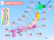 桜開花予想2023　全国トップは東京と福岡で3月20日　平年並かやや早い