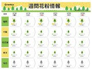 東京も花粉シーズン間近　本格飛散前に対策を　九州は「やや多い」予想　週間花粉情報