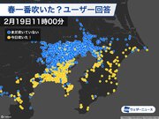 関東は沿岸部で強い南風　羽田〜千葉の境界線で風速と気温がわかれる