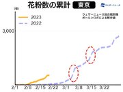 東京の花粉は昨年より速いペースで飛散　月末から一気に増加か