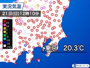 東京は今年初の20超を観測　明日はさらに気温上昇の可能性