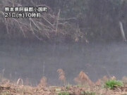 雨域拡大で西日本は激しい雨に注意　関東や東海も傘の準備を