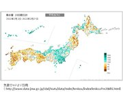 沖縄　最近20日間の降水量は平年の2倍超も　石垣島の桜の満開は平年より遅く