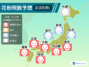 2月22日(月)の花粉飛散予想　連日の大量飛散に注意　東京など非常に多い予想