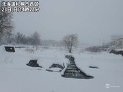北海道・東北に暴風雪警報　札幌は冬として5年ぶりの25m/s超の暴風        