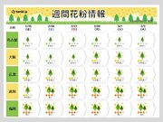 週間花粉情報　福岡などピークに　高知も「多い」　東京も本格的なスギ花粉シーズンへ