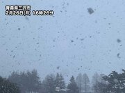 北日本太平洋側は今夜も大雪警戒　岩手県には暴風雪警報　着雪にも注意
