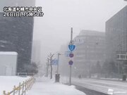 札幌はドカ雪でホワイトアウト　北日本は深夜にかけて荒天に警戒