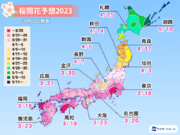 桜開花予想2023　全国トップは東京と福岡で3月18日　平年より早まる予想