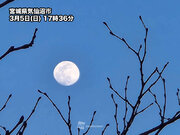 西日本や北日本で少し欠けた月が昇る　明後日の満月は広く晴天に