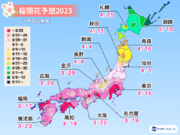 桜開花予想2023　高温傾向で東京は来週3月15日開花か　満開も早い予想