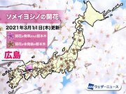 広島で桜開花　統計開始以来最も早く、全国で今年初のソメイヨシノ開花に