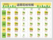 土日はスギ花粉がピーク　東京・大阪など最高レベルの「非常に多い」　最大級の対策を