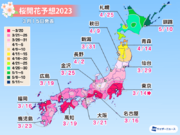 桜開花予想2023　関東以西で続々開花　東京は来週には満開に