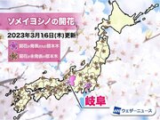 岐阜で桜開花　平年より9日早く　2021年・1989年に並んで最も早い記録