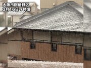 大阪や神戸で雷雨　あられ、ひょう、雪が積もる　午前が荒天ピーク        