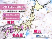 名古屋で桜が開花　観測史上最も早い記録に並ぶ