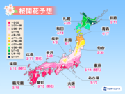 桜開花予想2021　観測史上最も早い記録が続出　東京は23日(火)に満開へ