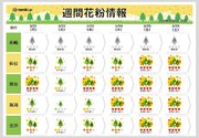 「花粉情報」あすは四国～関東で「非常に多い」予想　スギ花粉のピークいつまで続く?