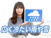 あす3月22日(火)のウェザーニュース お天気キャスター解説