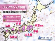 東京で桜満開発表　京都や名古屋ではソメイヨシノ開花        
