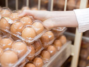 スーパーの卵は常温なのに、なぜ家では冷蔵保存？　卵を正しく保存する方法