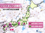 23日(土) 佐賀県で桜開花　桜の生長は一時的にスローダウン        