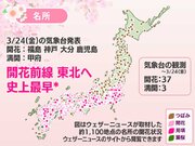 福島で桜開花　史上最早で桜前線が東北に到達