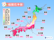 桜開花予想2021　西日本・東日本は今週末にかけて満開ラッシュ、桜前線は北陸・東北へ