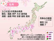 今日の桜前線 3月24日(金)　東北に開花前線到達　福島でソメイヨシノ開花