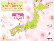 岡山で桜開花　3月最後の週末は見ごろの所も